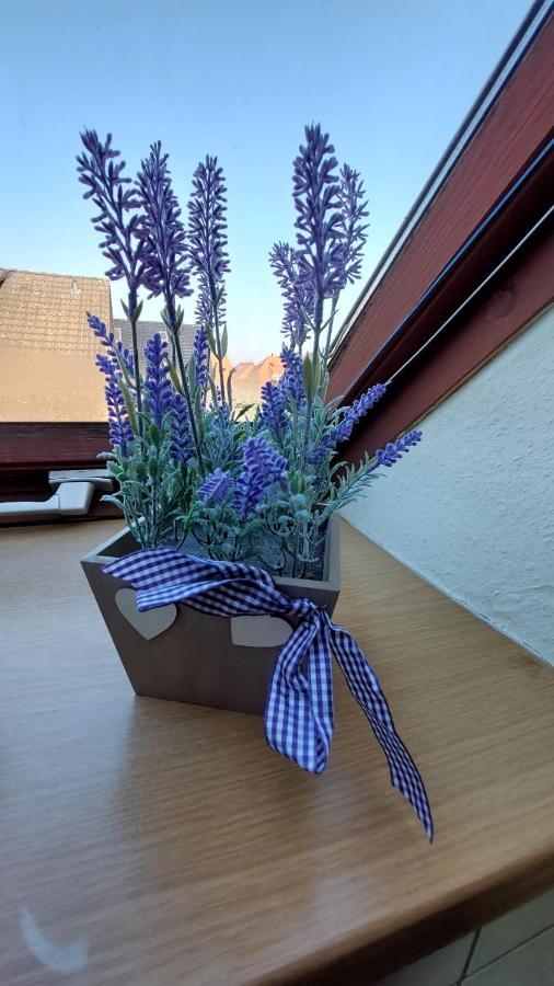 Ferienwohnung Weser Minden  Exteriér fotografie